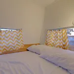 Little Apple Wander Camper